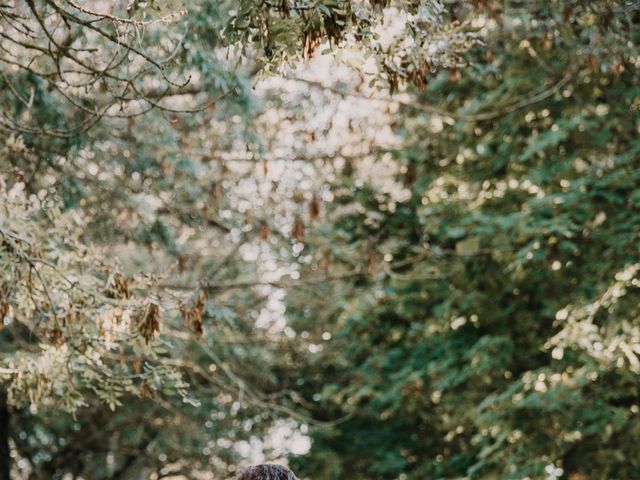 Le mariage de Nicolas et Dyana à Fonsorbes, Haute-Garonne 29