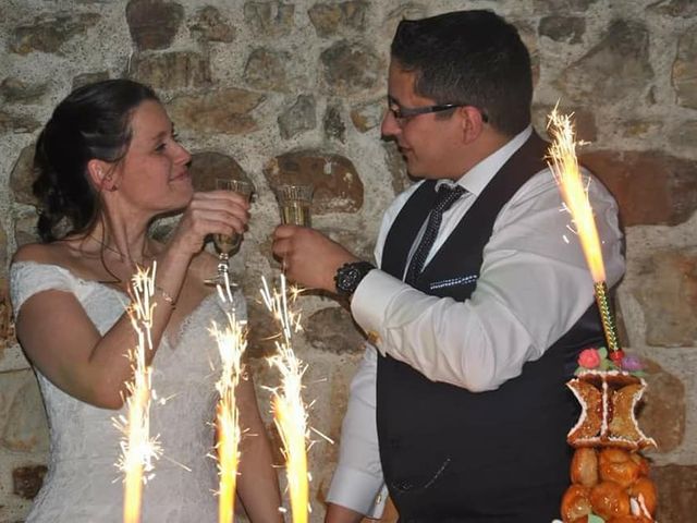 Le mariage de Stéphane et Emilie à Saint-Denis-d'Orques, Sarthe 27