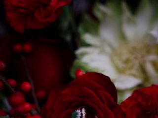 Le mariage de Pauline et Guillaume 3