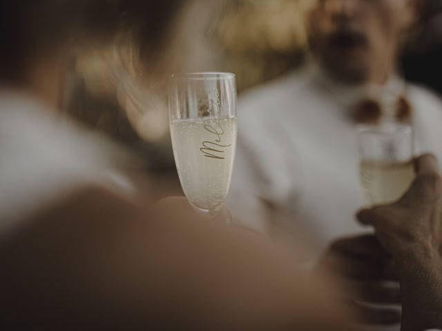 Le mariage de Lionel et Céline à Saint-Jean-du-Pin, Gard 15