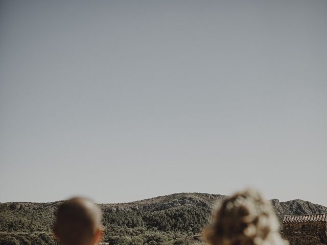 Le mariage de Lionel et Céline à Saint-Jean-du-Pin, Gard 18