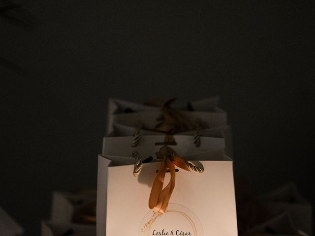 Le mariage de César et Leslie à Villiers-sur-Marne, Val-de-Marne 7