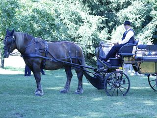 Le mariage de Oscar  et Isabelle  3