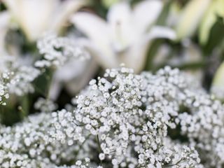 Le mariage de Julie et Jérémy 3