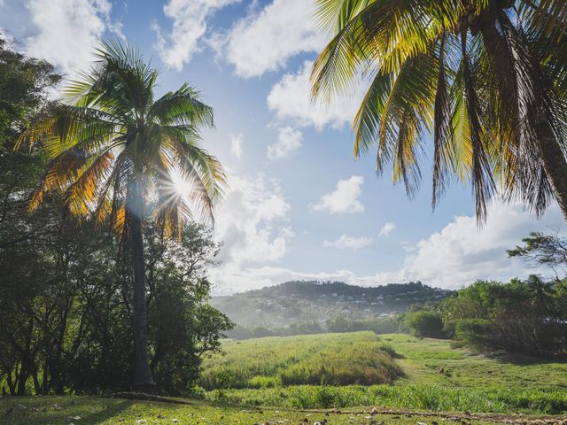 Le mariage de Louis et Lisa à Le Robert, Martinique 23