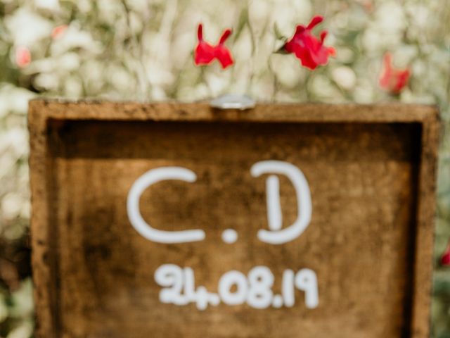 Le mariage de Damien et Camille à Saint-Gilles, Gard 26
