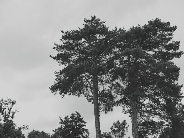 Le mariage de Juliette et Paul à Angers, Maine et Loire 12