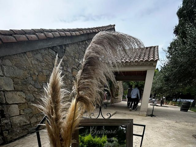 Le mariage de François et Amandine à Aimargues, Gard 16