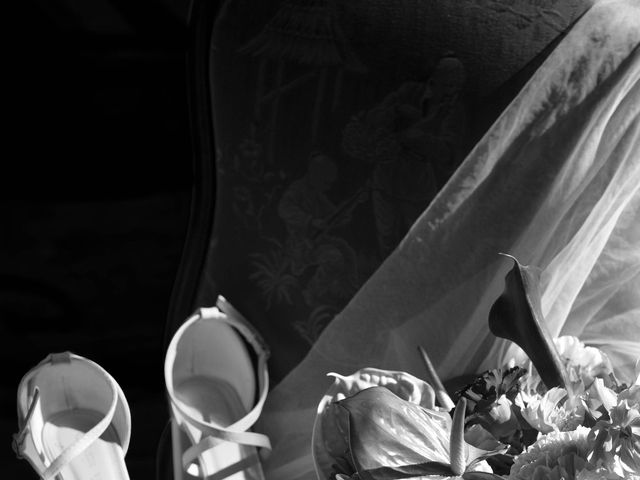Le mariage de Simon et Dani à Frouzins, Haute-Garonne 7