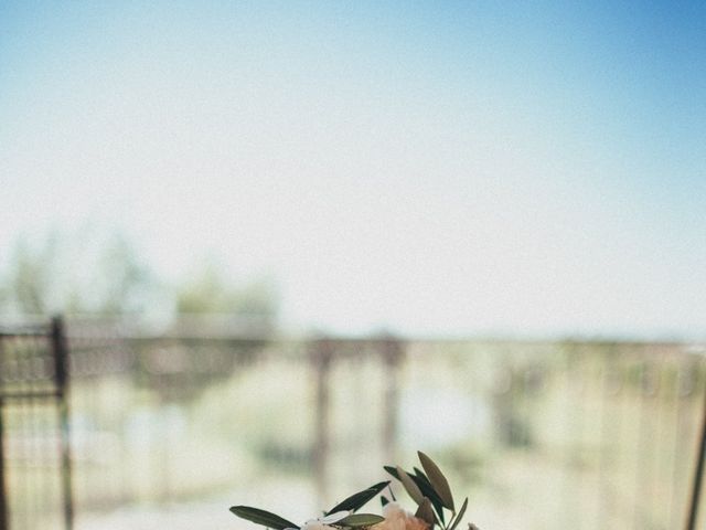 Le mariage de Nicolas et Amandine à Tarascon, Bouches-du-Rhône 17