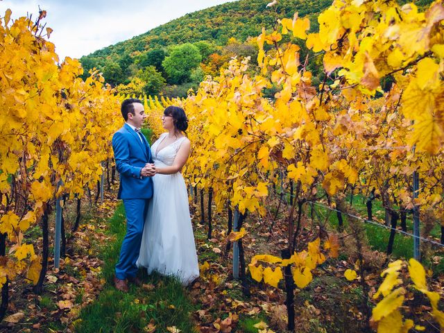 Le mariage de Sébastien et Adeline à Kaysersberg, Haut Rhin 52