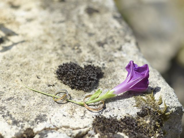 Le mariage de Etienne et Morgane à Saint-Front-sur-Lémance, Lot-et-Garonne 32