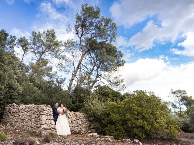 Le mariage de Vincent et Delphine à Saint-Maximin-la-Sainte-Baume, Var 35