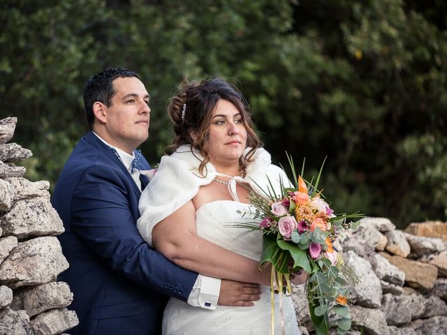 Le mariage de Vincent et Delphine à Saint-Maximin-la-Sainte-Baume, Var 36