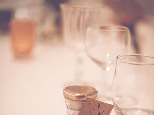 Le mariage de Vivien et Angélique à Les Marches, Savoie 15