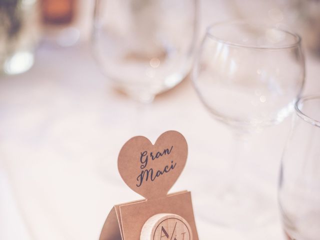 Le mariage de Vivien et Angélique à Les Marches, Savoie 16