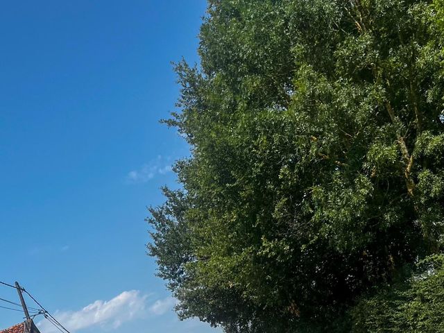 Le mariage de Corentin  et Alicia  à Saint-Julien-Gaulène, Tarn 15