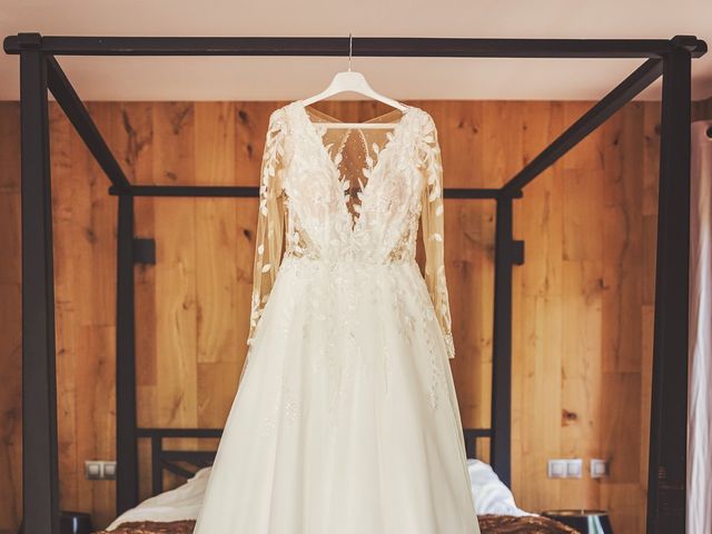 Le mariage de Lucas et Delphine à Beaulieu-sur-Loire, Loiret 17