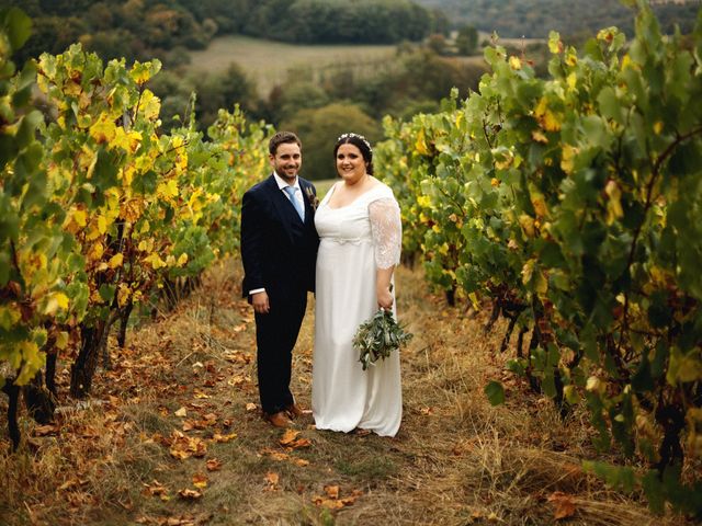 Le mariage de Mickaël et Julia à Gy, Haute-Saône 42