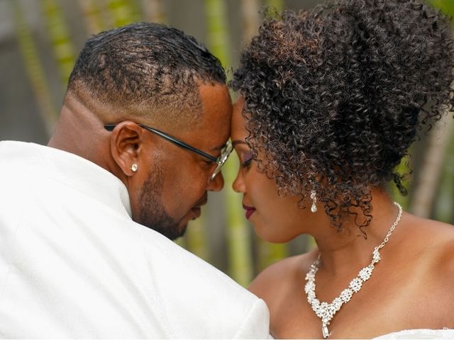 Le mariage de Ludovic  et Yasmina  à Saint-Pierre, La Réunion 16