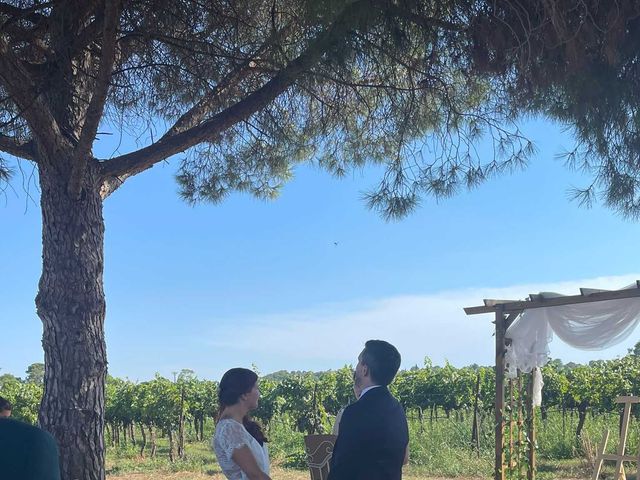 Le mariage de Andrew et Marie-Claire à Montpellier, Hérault 4