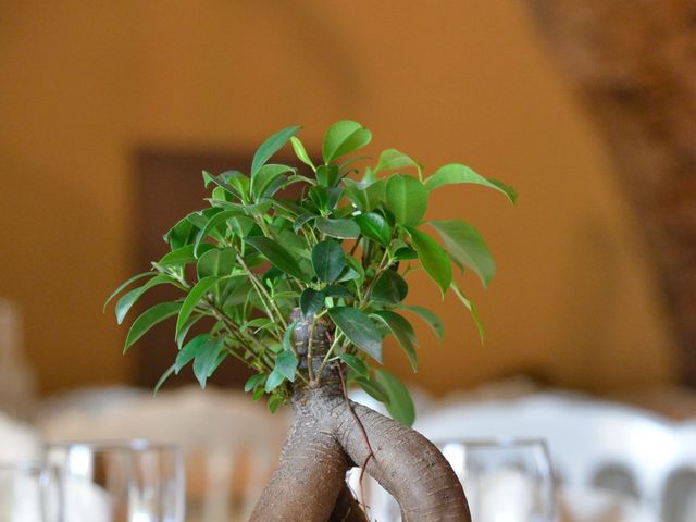 Le mariage de Pierre et Nadège à Millau, Aveyron 3