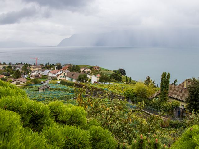 Le mariage de Egzona et Jérôme à Pully, Vaud 16