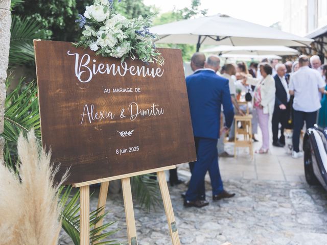 Le mariage de Dimitri et Alexia à Seillans, Var 7