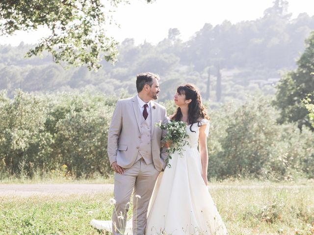 Le mariage de Dimitri et Alexia à Seillans, Var 18