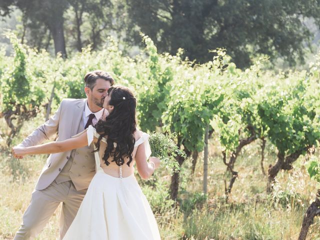 Le mariage de Dimitri et Alexia à Seillans, Var 19