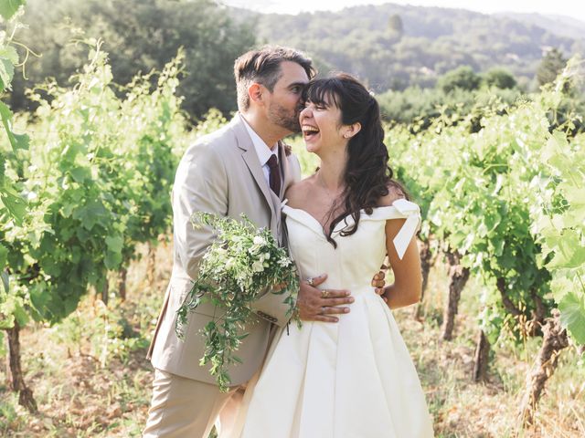 Le mariage de Dimitri et Alexia à Seillans, Var 22