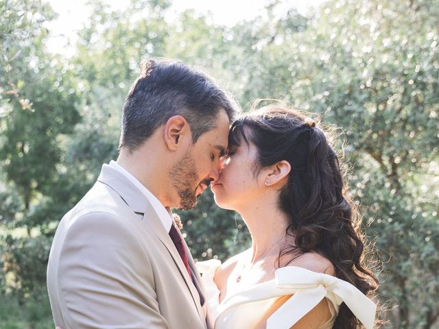 Le mariage de Dimitri et Alexia à Seillans, Var 25