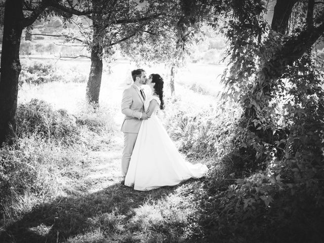 Le mariage de Dimitri et Alexia à Seillans, Var 26