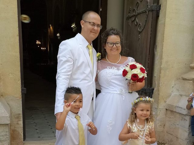 Le mariage de Nicolas  et Lindsay  à Flassans-sur-Issole, Var 6