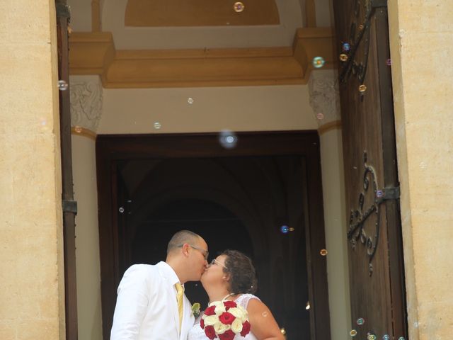 Le mariage de Nicolas  et Lindsay  à Flassans-sur-Issole, Var 11