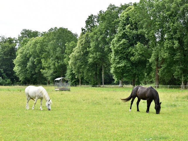Le mariage de Christilla et Jean à Pont-de-l'Arche, Eure 3