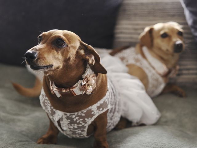 Le mariage de Dimitri et Alice à Frontenas, Rhône 2