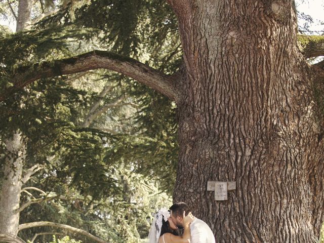 Le mariage de Dimitri et Alice à Frontenas, Rhône 69