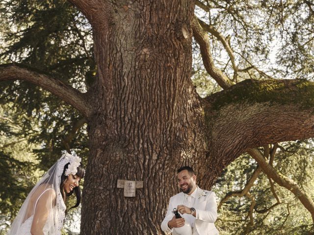 Le mariage de Dimitri et Alice à Frontenas, Rhône 75