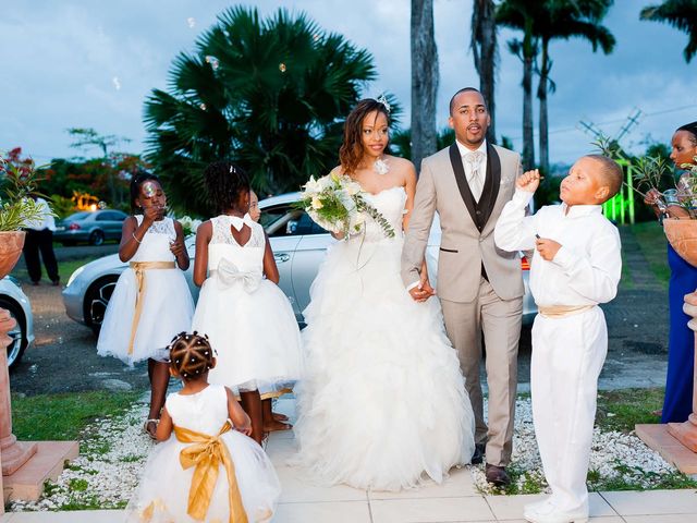 Le mariage de Anthony et Agnès à Rivière-Salée, Martinique 11