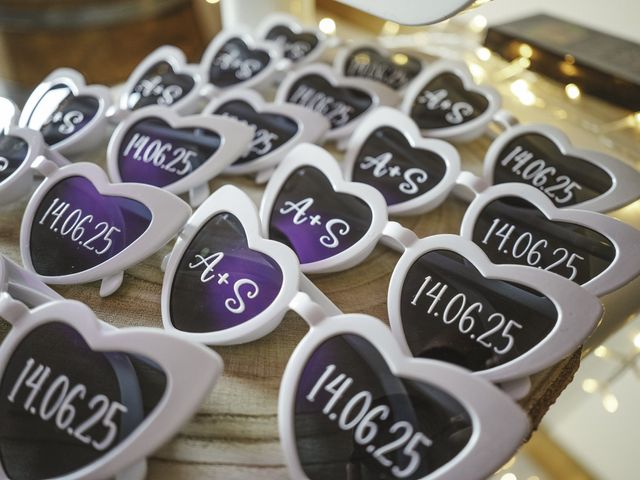 Le mariage de Sullivan et Alisson à Saint-Denis-de l'Hôtel, Loiret 19