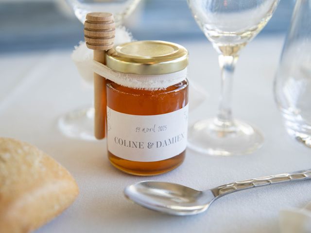 Le mariage de Damien et Coline à Saint-Romain-de-Jalionas, Isère 11