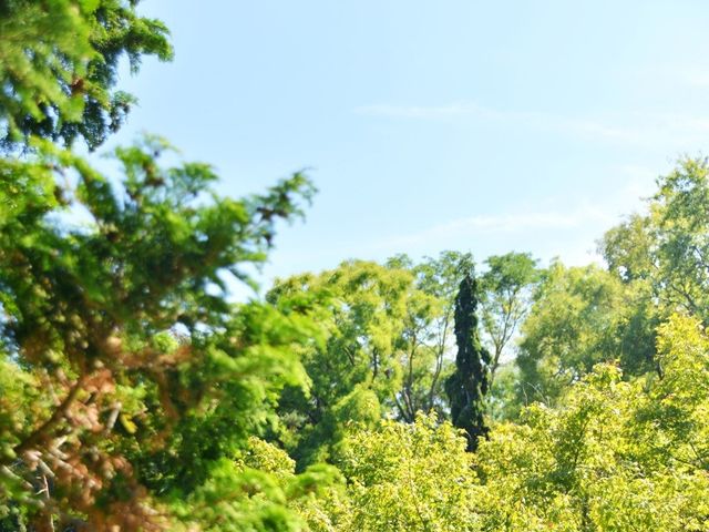 Le mariage de Nicolas et Séverine à Seysses, Haute-Garonne 89