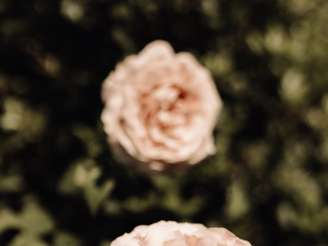 Le mariage de Rémi et Katya à Orgon, Bouches-du-Rhône 9