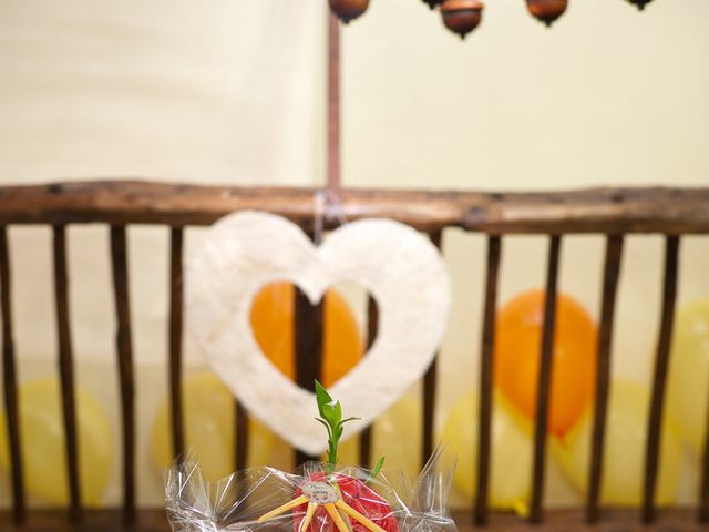 Le mariage de Ludovic et Charlène à Condé-sur-Sarthe, Orne 5