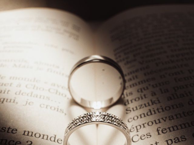 Le mariage de Jérome et Claire à Dixmont, Yonne 35