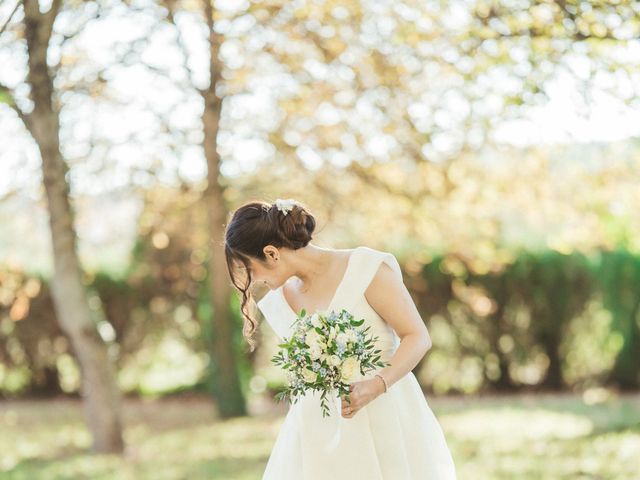 Le mariage de Guillaume et Elie à Mane, Alpes-de-Haute-Provence 15