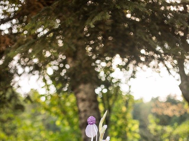 Le mariage de Tony et Céline à Yssingeaux, Haute-Loire 148