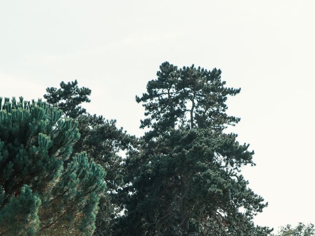 Le mariage de Thomas et Jennifer à Mirepoix-sur-Tarn, Haute-Garonne 19