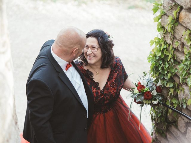 Le mariage de Franck et Anne Audrey à Pierrevert, Alpes-de-Haute-Provence 22